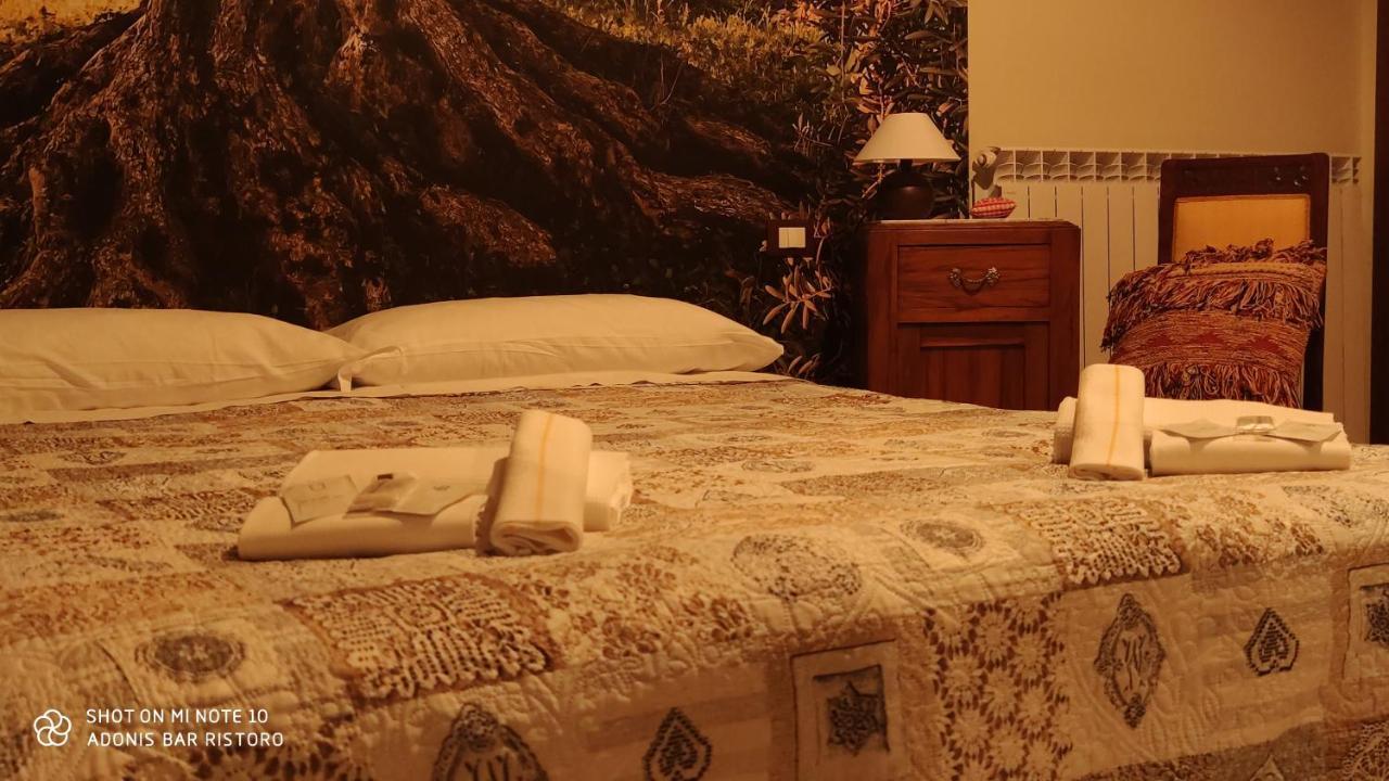 Adonis Hotel Castelvecchio Calvisio Exterior photo